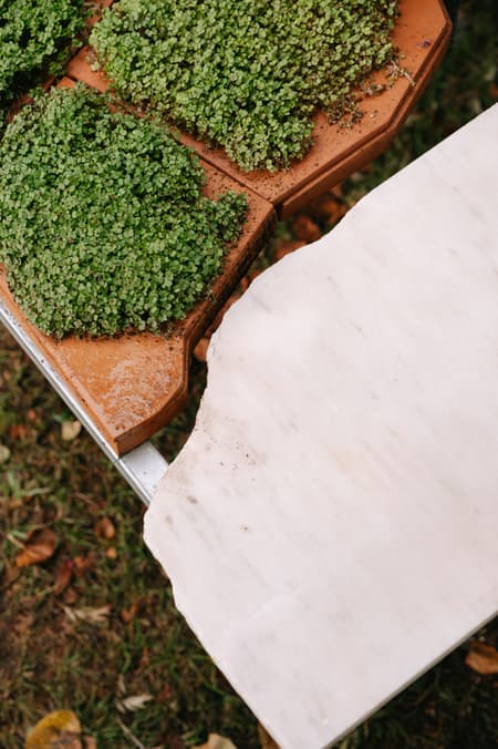 Live Kitchen — Francisca Sotto & Jeremy Morris